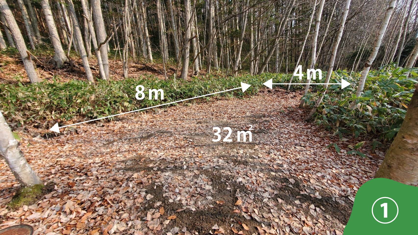 ブッシュサイトの写真 その2