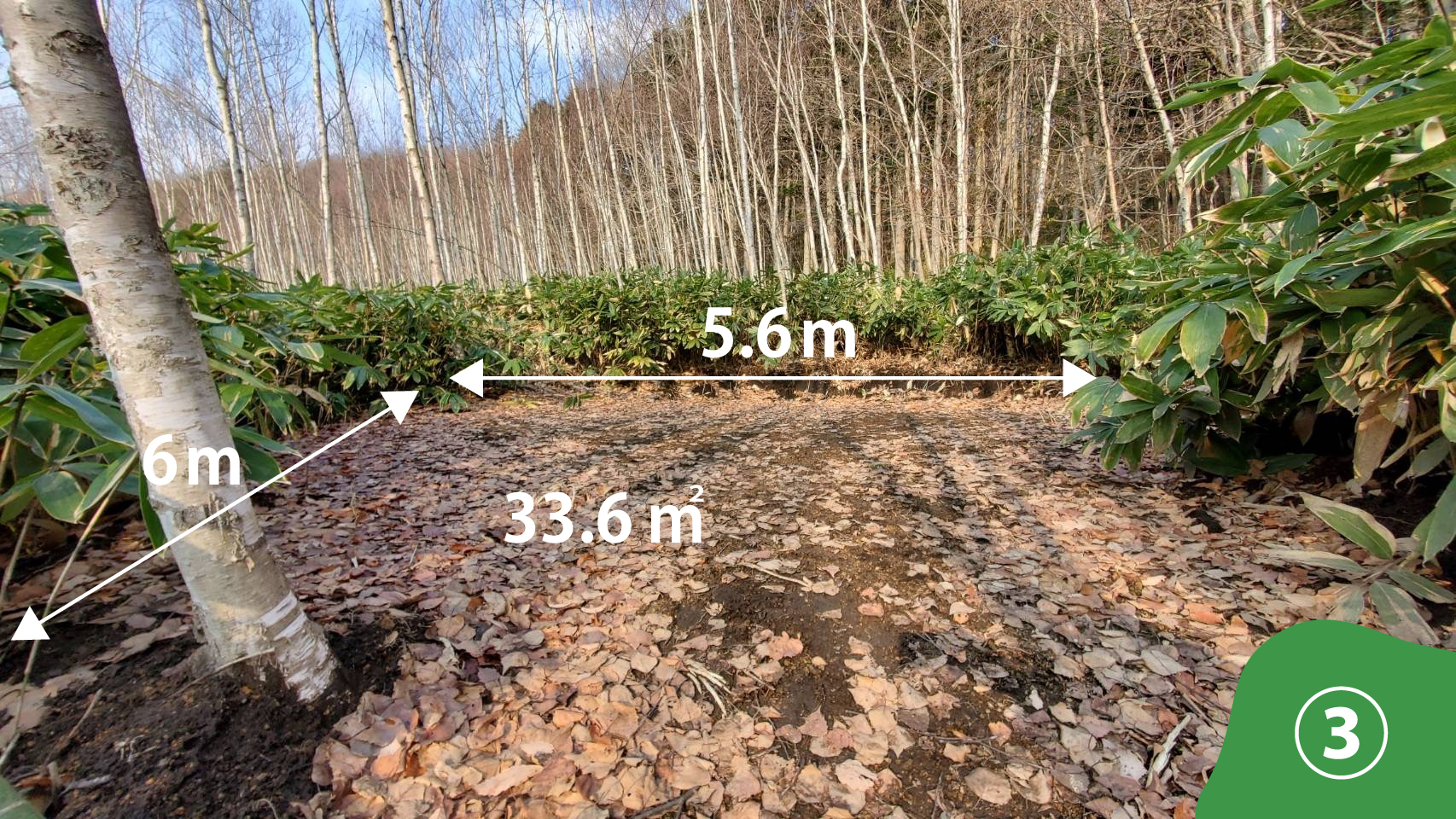 ブッシュサイトの写真 その4