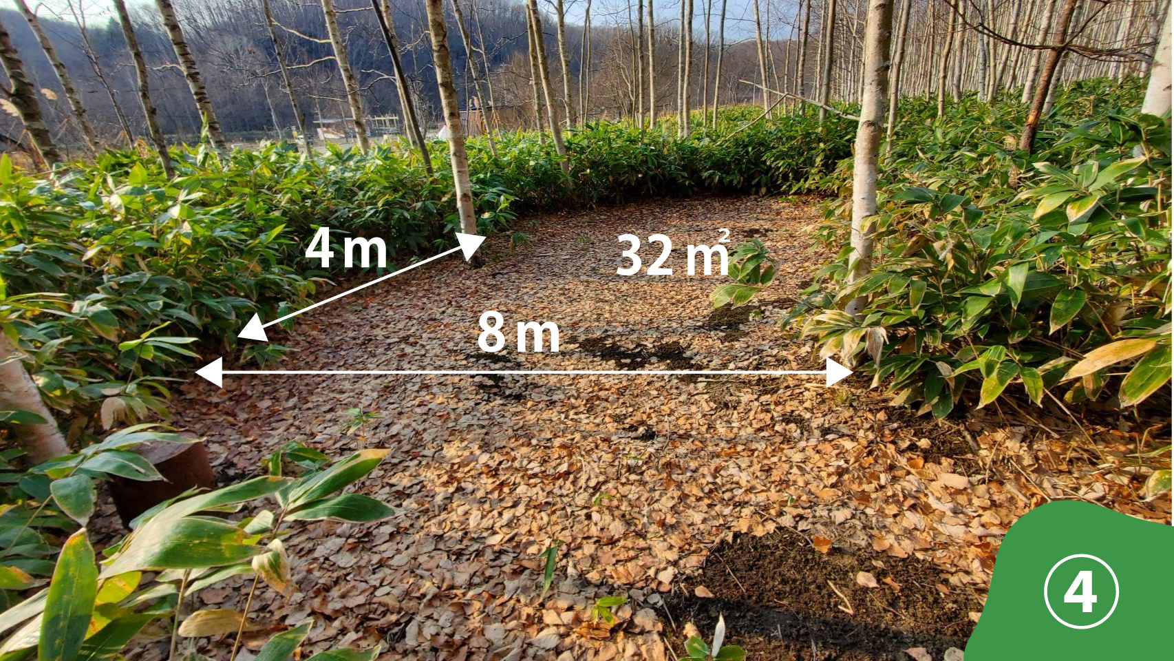 ブッシュサイトの写真 その5