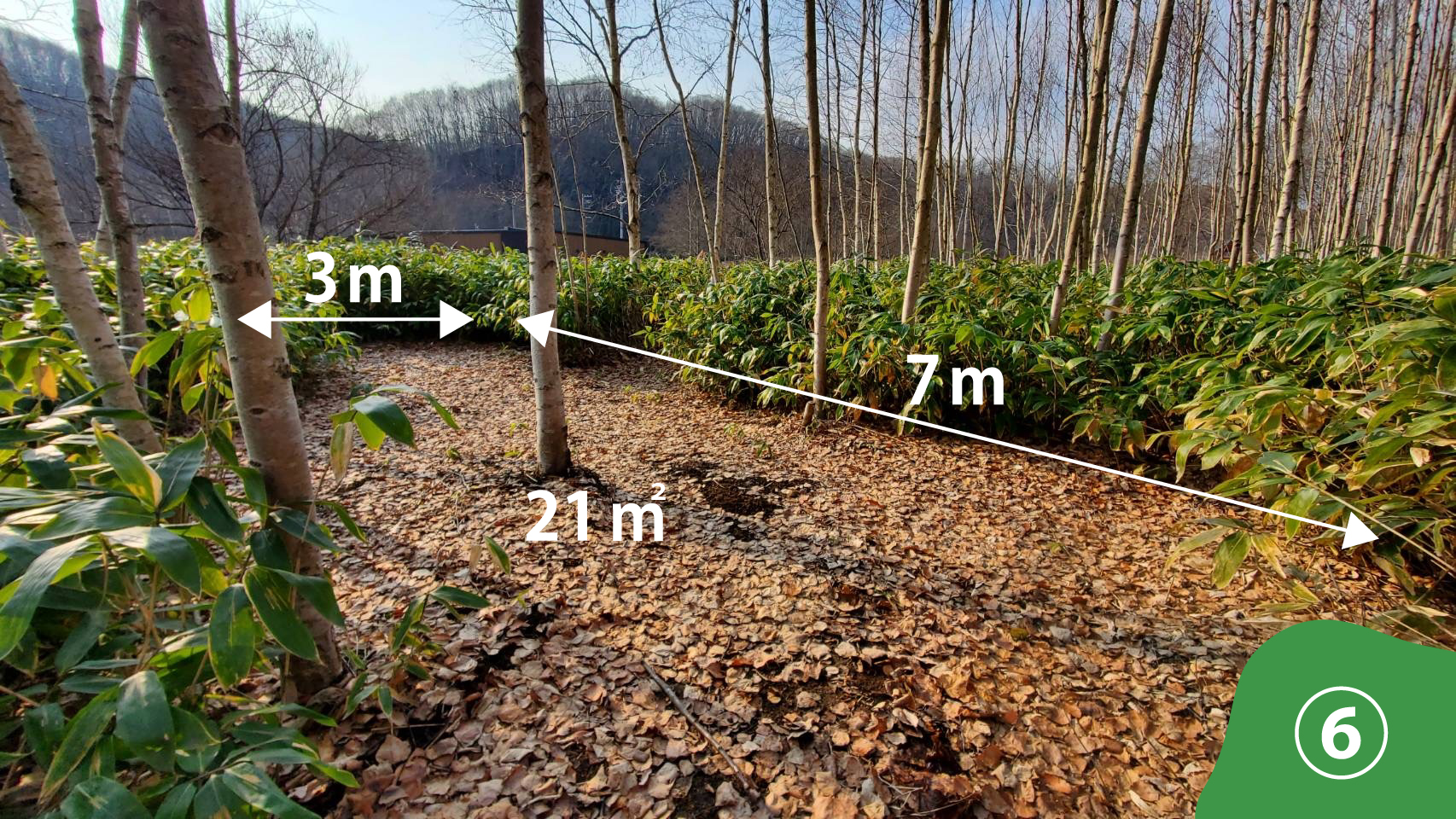 ブッシュサイトの写真 その7