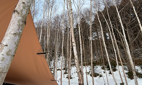 林間サイトの写真 その4