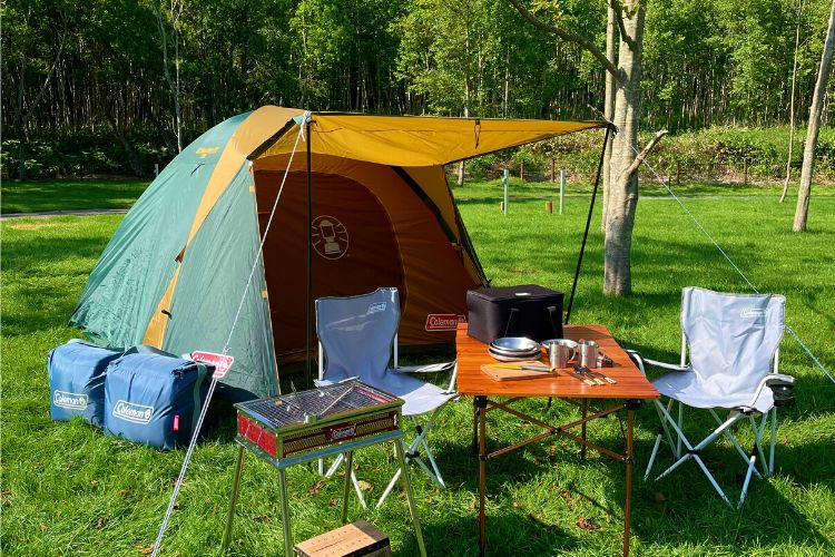 ヘキサタープ タープ タープテント シェード キャンプ ピンク BBQ 4人